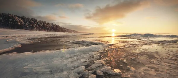 Fryst Östersjökust Vid Solnedgången Isfragment Närbild Snötäckt Tallskog Bakgrunden Färgglada — Stockfoto