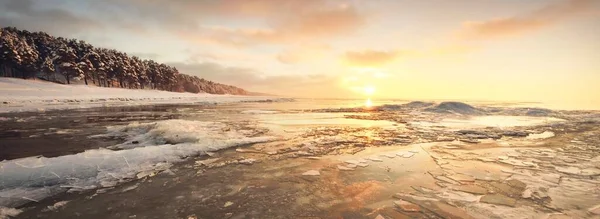 Mar Báltico Congelado Atardecer Fragmentos Hielo Cerca Bosque Pinos Cubierto —  Fotos de Stock