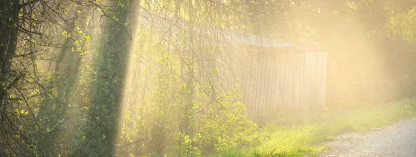 Tom Landsväg Vid Solnedgången Solstrålar Genom Träden Våren Lettland Idyllisk — Stockfoto