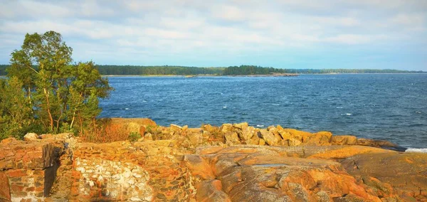 반도의 나무와 바위가 해안입니다 핀란드만 생태관광 목적지 파노라마처럼 보이는 — 스톡 사진