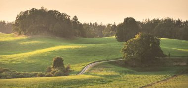 Gün batımında yeşil tepeler ve çayırların (tarımsal alanlar) resimli panoramik manzarası. Arka planda orman var. Idyllic kırsal kesim. Pastoral manzara. Yeni Zelanda. Turizm, doğa ekolojisi
