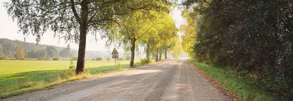 Una Strada Sterrata Vuota Vicolo Attraverso Foresta Verde Campi Una — Foto Stock