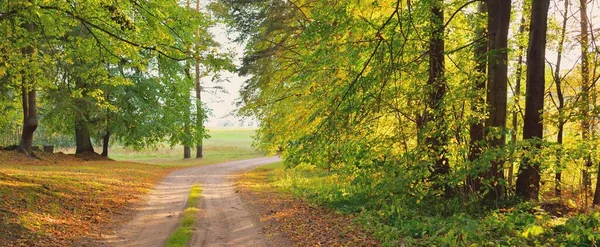 Empty Rural Road Alley Colorful Deciduous Trees Green Golden Orange — Stock Photo, Image