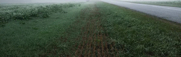 日の出の濃い霧の中で空の高速道路 アスファルトの道路 大気の風景 牧歌的な田園風景 悪天候 危険な運転 — ストック写真