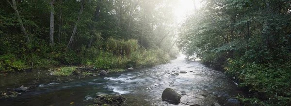 Wild River Dark Forest Sunrise Pure Morning Sunlight Sunbeams Fog — Stock Photo, Image