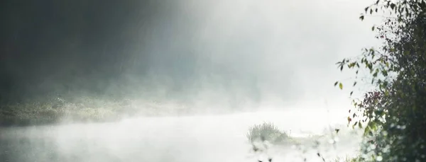 Malerische Monochrome Landschaft Des Waldflusses Dichten Weißen Nebel Reflexionen Über — Stockfoto