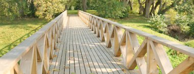 Açık bir günde yeşil yaprak döken ormanda modern ahşap patika (tahta yol), renkli akçaağaç yaprakları yakın çekim yapar. Güneş ışığı ve gölgeler. Eğlence, çevre, eko turizm, Letonya 'da tatiller