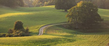 Gün batımında yeşil tepeler ve çayırların (tarımsal alanlar) resimli panoramik manzarası. Arka planda orman var. Idyllic kırsal kesim. Pastoral manzara. Yeni Zelanda. Turizm, doğa ekolojisi