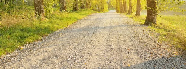 Ένας Άδειος Αγροτικός Δρόμος Σοκάκι Μέσα Από Πολύχρωμα Φυλλοβόλα Δέντρα — Φωτογραφία Αρχείου