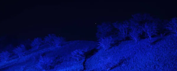 Освітлені Пагорби Дерева Загадковим Синім Світлом Вночі Зблизька Старе Місто — стокове фото