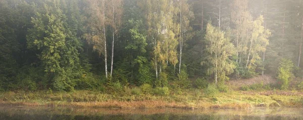 在浓雾中 森林中的图画般的单色风景 关于水的反思 大气景观 秋天的季节拉脱维亚 欧洲的自然 环境保护 — 图库照片