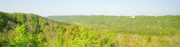 가우자 공원의 근처의 숲이다 파노라마 라트비아 시굴다 생태학 생태관광 — 스톡 사진