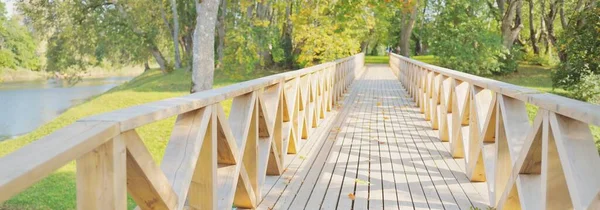 Sendero Moderno Madera Paseo Marítimo Través Del Verde Bosque Caducifolio — Foto de Stock