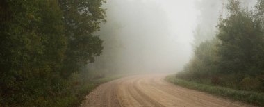 Güneşin doğuşunda sisli bir havada yeşil orman ve tarlalar boyunca boş bir toprak arazi yolu (alley). Saf sabah ışığı. Letonya 'da sonbaharın başlarında. Sonbahar, mevsimler, seyahatler, tatiller, eko turizm teması