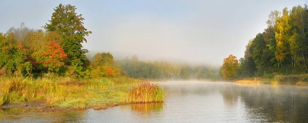 森林小河在大雾中的风景如画 对水的反思 天然的镜子 黑暗的大气景观 秋天的季节拉脱维亚 欧洲的自然 环境保护 — 图库照片