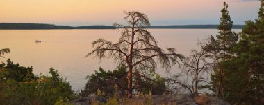 Gün batımında orman göl kıyısının panoramik hava manzarası. Ay doğuyor, pembe ve altın renkli bulutlar parlıyor. Resimli bir manzara var. Yaz tatilleri, eko-turizm, doğa, yelkencilik, dinlenme