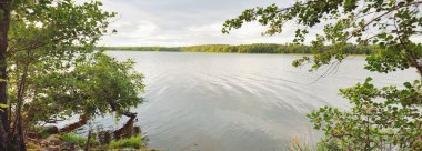 Güneşli bir yaz gününde Rocky gölü ve ormanı. Yeşil ağaçlar, bitkiler, yosun, liken. weden. Saf doğa, çevre koruma, eko-turizm, tatiller. Panoramik görünüm