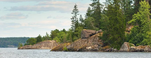 Rocky Lakeshore Forest Sunny Summer Day Green Deciduous Trees Plants — Stock Photo, Image