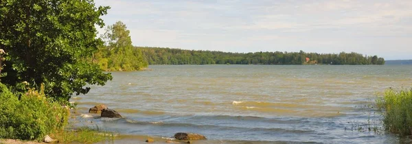 Rocky Lake Bos Een Zonnige Zomerdag Dramatische Lucht Natuur Milieubehoud — Stockfoto