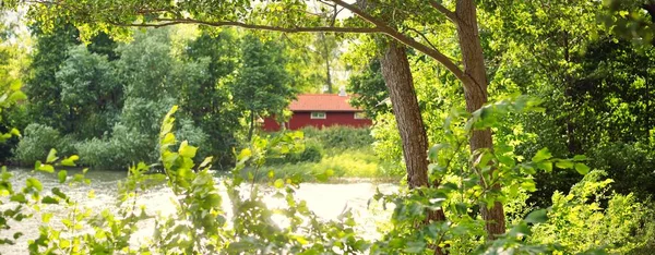 Villaggio Una Foresta Verde Casa Tradizionale Colorata Con Tintura Rosso — Foto Stock