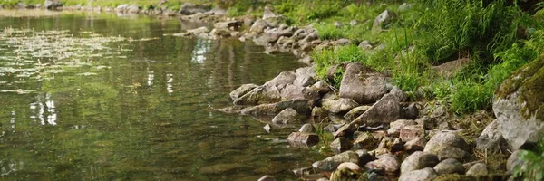 Skaliste Jezioro Las Słoneczny Letni Dzień Czysta Przyroda Ochrona Środowiska — Zdjęcie stockowe