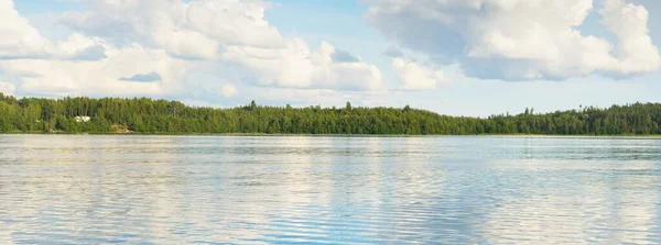 Panoramautsikt Över Steniga Sjön Solig Dag Träd Växter Vilda Blommor — Stockfoto
