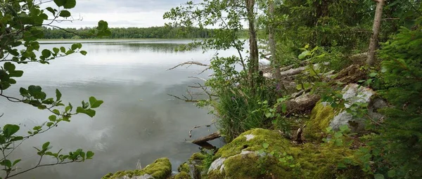 Rocky Λίμνη Και Δάσος Μια Ηλιόλουστη Μέρα Του Καλοκαιριού Πράσινα — Φωτογραφία Αρχείου