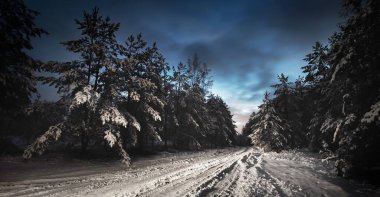 Gün batımında çimenlik çam ormanlarının içinden geçen karla kaplı köy yolu. Spruce ağaçları yakın plan. Dramatik alacakaranlık gökyüzü. Kırsal alan. Uzak yerler, tehlikeli sürüş, off road, kış lastikleri