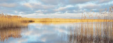 Kumlu bir sahilden Baltık Denizi manzarası. Açık günbatımı gökyüzü, parlayan bulutlar, yumuşak altın ışık. Sudaki yansımalar. Kumul bitkileri yakın plan. Hava, kış, iklim değişikliği, doğa. Idyllic manzara