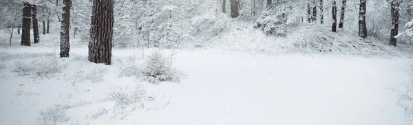 Met Sneeuw Bedekte Altijd Groene Bosheuvels Een Sneeuwstorm Dennen Sparren — Stockfoto