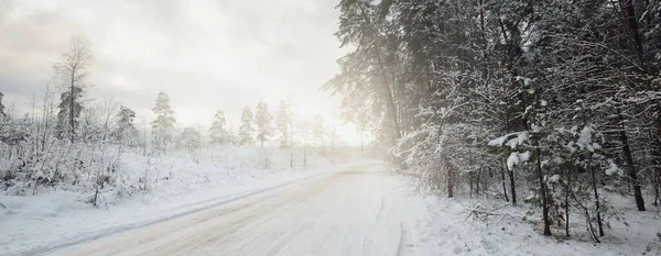 夕阳西下 白雪覆盖的乡间小路穿过常绿的松树林 暴风雪前的天空戏剧化 田园诗般的乡村风景 偏远的地方 危险的驾驶 越野车 冬季轮胎 — 图库照片