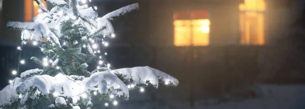 Árbol Abeto Cubierto Nieve Iluminado Por Guirnalda Luces Blancas Patio —  Fotos de Stock