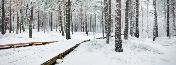 Moderne Houten Loopbrug Promenade Door Het Besneeuwde Bos Een Sneeuwstorm — Stockfoto