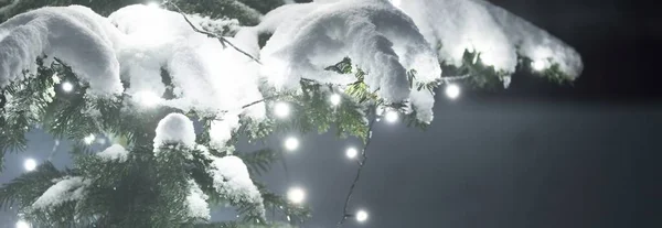 Снігове Ялинове Дерево Освітлене Садом Білих Вогнів Зблизька Темні Сутінки — стокове фото
