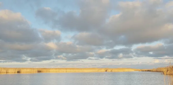 从沙滩上俯瞰波罗的海的景色 清澈的落日 明亮的云彩 柔和的金光 关于水的反思 沙丘植物特写 气候变化 Idyllic Landscape — 图库照片