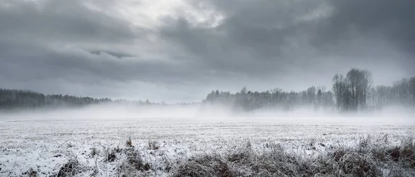 吹雪の前に劇的な暗い雲の下で雪に覆われた農業耕地や森林 冬の田園風景 生態系 気候変動 地球温暖化 — ストック写真