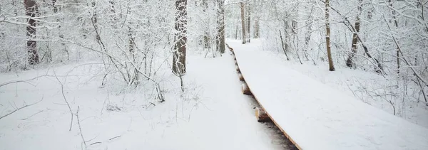 Moderne Houten Loopbrug Promenade Door Het Besneeuwde Bos Een Sneeuwstorm — Stockfoto