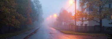 Yağmurlu bir sonbahar gününde, ağaçların ve köyün içinden geçen, boş, asfalt bir köy ve sisli bir yol, yakındaki sokak fenerleri, kırmızı ışık. Yolculuk, ulaşım, iletişim, sürüş