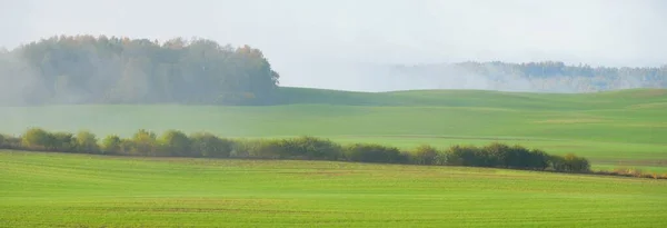Zöld Dombok Szántott Mezőgazdasági Terület Traktorokkal Erdőkkel Napkeltekor Közelkép Napfény — Stock Fotó