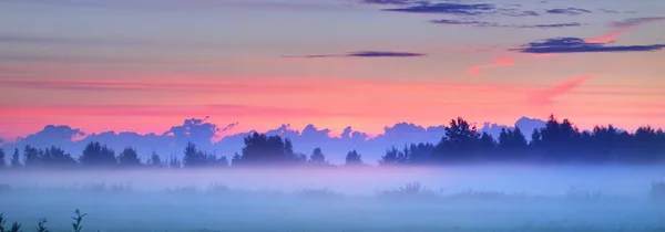 Landsfältet Dimma Vid Soluppgången Träd Silhuetter Bakgrunden Ren Gyllene Morgonsol — Stockfoto