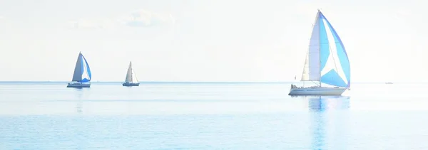 Регата Парусной Яхты Современные Парусники Голубыми Парусами Четкий Летний День — стоковое фото