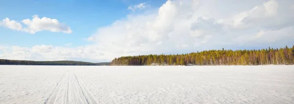 Замерзшее Озеро Сосновый Лес Закате Структура Льда Трактор Отслеживает Крупным — стоковое фото