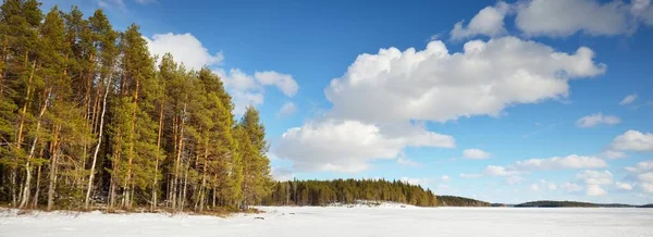 日没の凍った湖と松林 氷の質感 劇的な嵐の青い空 壮大な雲の風景 冬の不思議の国 生態系 気候変動 悪天候 — ストック写真