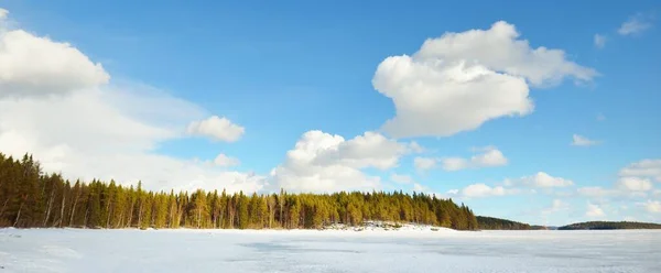 Lago Congelado Bosque Pinos Atardecer Textura Hielo Cielo Azul Tormentoso — Foto de Stock