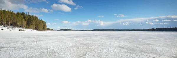 Fryst Sjö Och Tallskog Vid Solnedgången Isstruktur Dramatisk Stormig Blå — Stockfoto