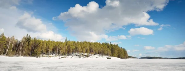 Zmrzlé Jezero Borový Les Při Západu Slunce Ledová Textura Dramatická — Stock fotografie