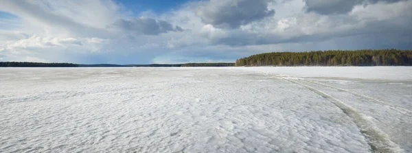 Fryst Sjö Och Tallskog Vid Solnedgången Isstruktur Dramatisk Stormig Blå — Stockfoto