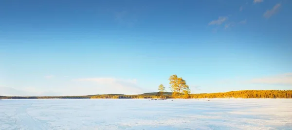 落日的时候 冰封的湖泊和白雪覆盖的松树林 冰的质感戏剧化的天空柔和的阳光宜人的冬季场景 环境保护 气候变化 生态旅游 圣诞节 — 图库照片
