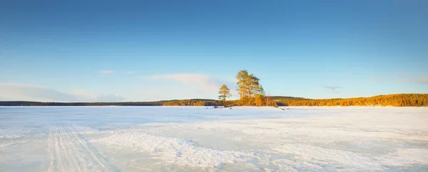氷結した湖と雪に覆われた日没時の松林 氷の質感 劇的な空 柔らかい日差し 牧歌的な冬のシーン 環境保全 生態系 気候変動 エコツーリズム クリスマス — ストック写真