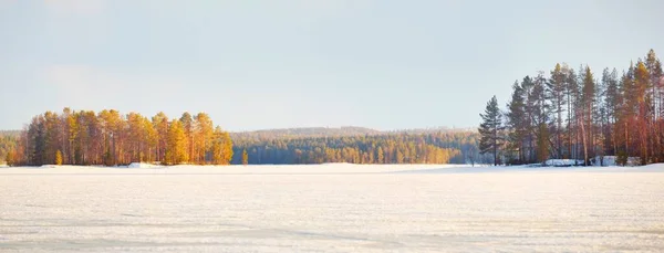 Lago Congelado Pinhal Coberto Neve Pôr Sol Textura Gelo Céu — Fotografia de Stock